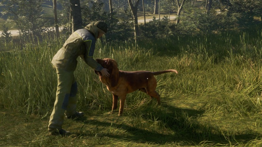 Screenshot 7 - theHunter: Call of the Wild - Bloodhound
