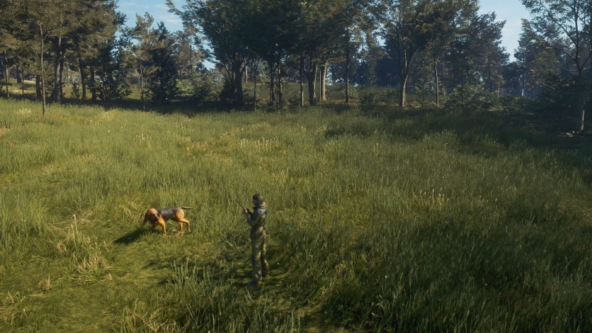 Screenshot 8 - theHunter: Call of the Wild - Bloodhound