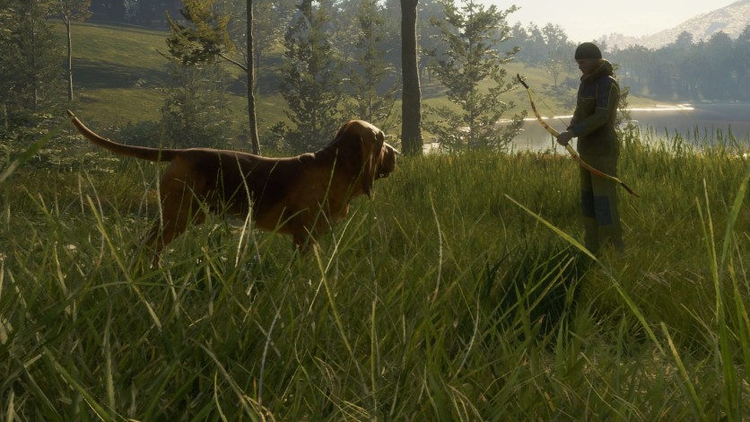 Screenshot 4 - theHunter: Call of the Wild - Bloodhound