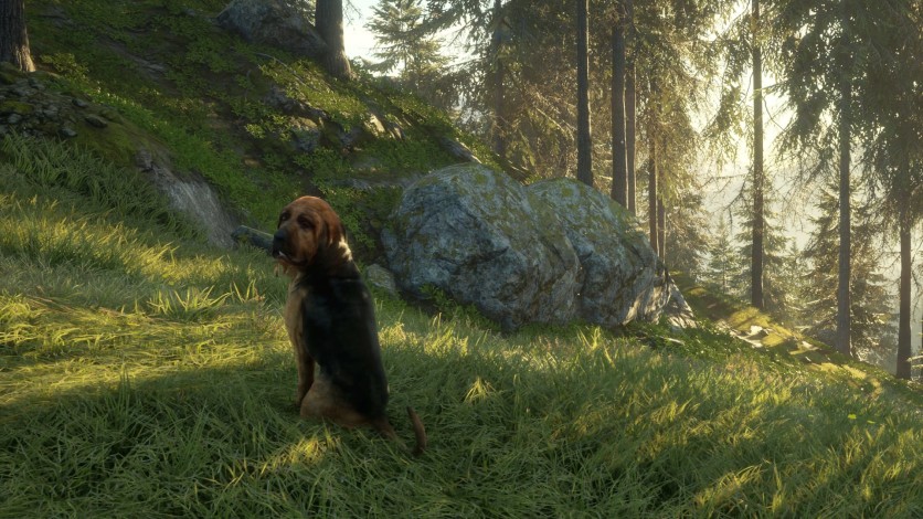 Screenshot 6 - theHunter: Call of the Wild - Bloodhound