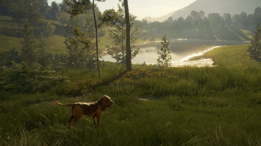 Screenshot 10 - theHunter: Call of the Wild - Bloodhound