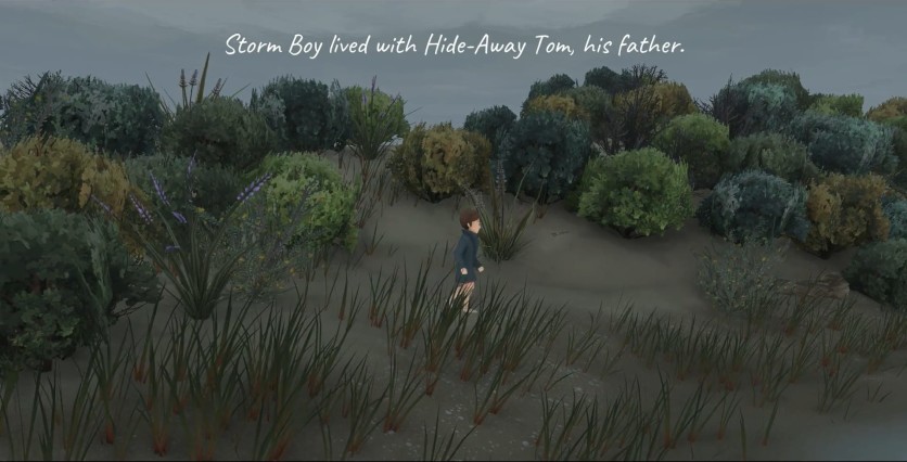 Screenshot 3 - Storm Boy