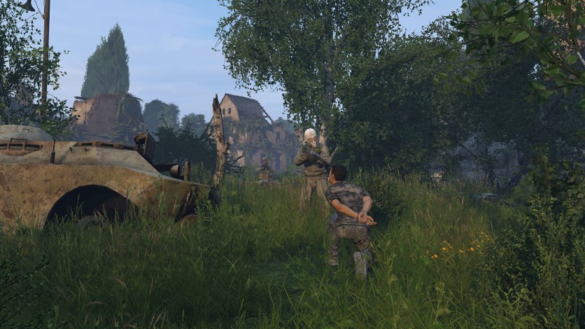 Screenshot 4 - DayZ Livonia