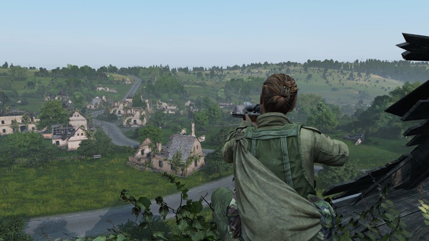 Screenshot 5 - DayZ Livonia