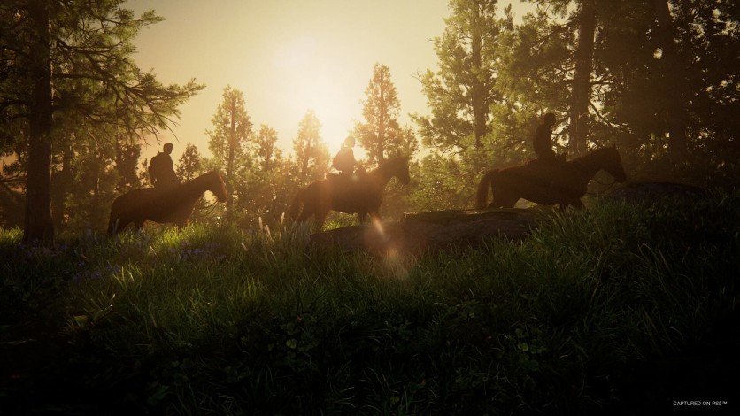 Screenshot 11 - The Last of Us - Part I