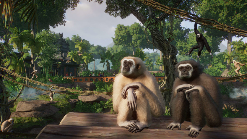 Screenshot 9 - Planet Zoo: Tropical Pack
