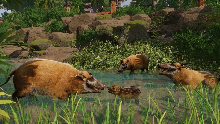 Screenshot 3 - Planet Zoo: Tropical Pack