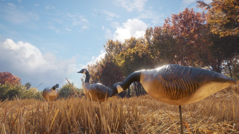 Screenshot 6 - theHunter: Call of the Wild - Wild Goose Chase Gear
