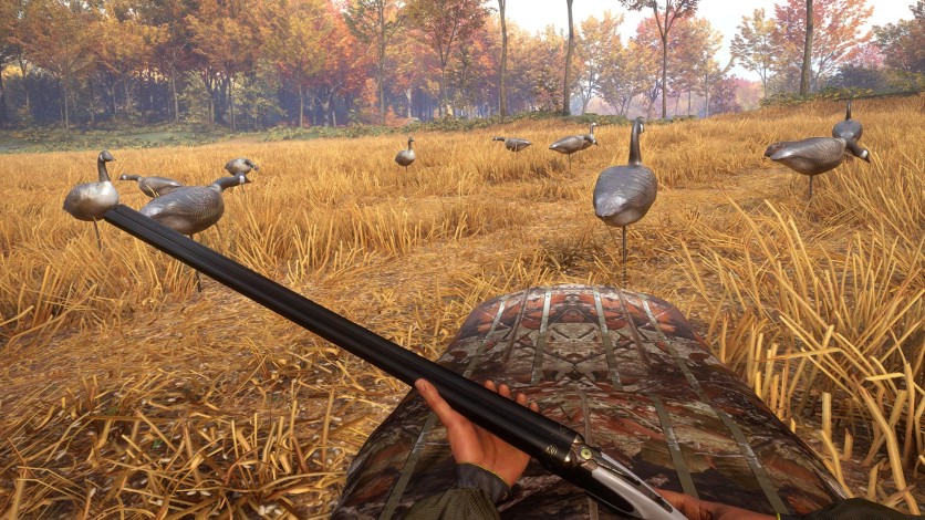 Screenshot 5 - theHunter: Call of the Wild - Wild Goose Chase Gear