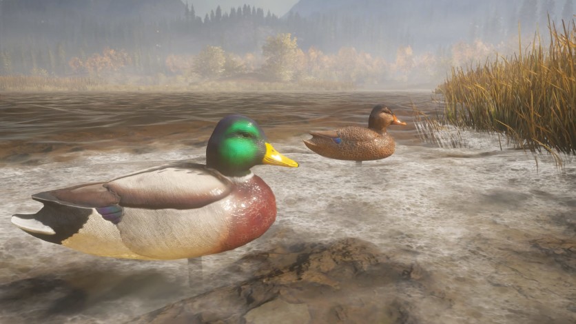 Screenshot 7 - theHunter: Call of the Wild - Duck and Cover Pack