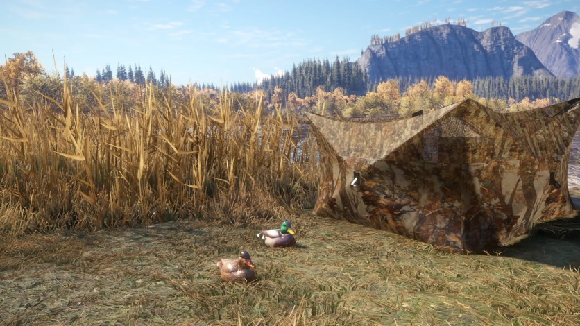 Screenshot 5 - theHunter: Call of the Wild - Duck and Cover Pack