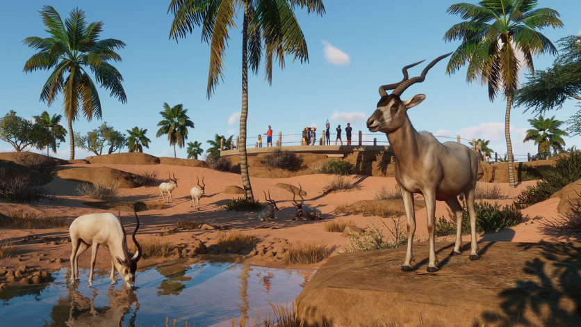 Screenshot 4 - Planet Zoo: The Arid Animal Pack