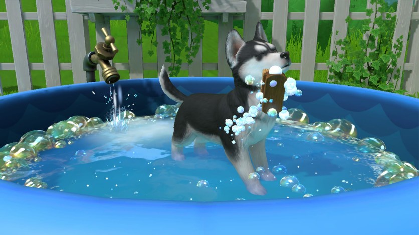 Screenshot 7 - Little Friends: Puppy Island