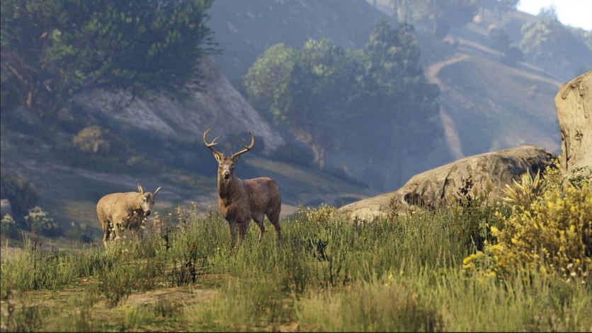 Captura de pantalla 1 - Grand Theft Auto V: Premium Edition - Xbox