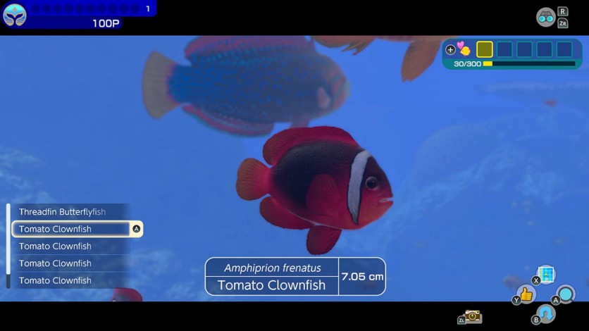 Captura de pantalla 6 - Endless Ocean™ Luminous