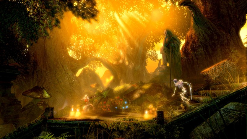 Captura de pantalla 1 - Trine Enchanted Edition