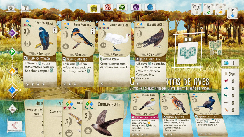 Screenshot 5 - Birds and Cats