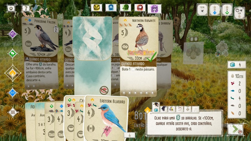 Screenshot 8 - Birds and Cats