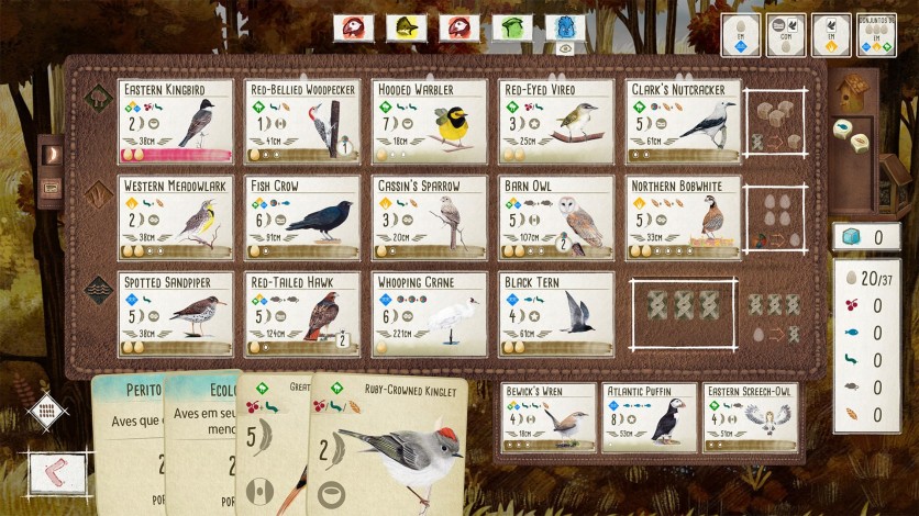 Screenshot 9 - Birds and Cats