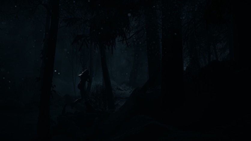 Captura de pantalla 20 - Until Dawn