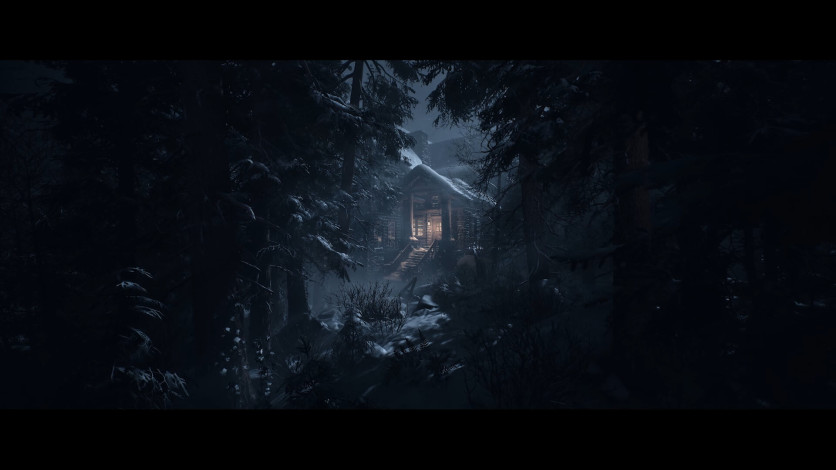 Captura de pantalla 1 - Until Dawn