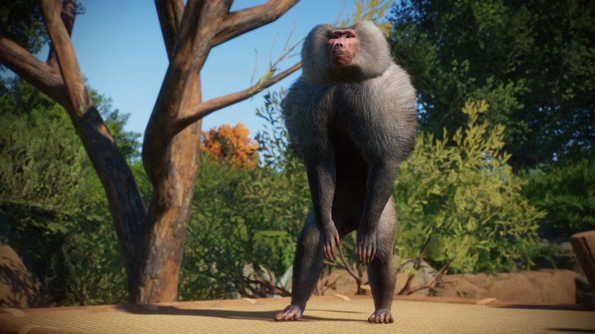 Captura de pantalla 3 - Planet Zoo: Zookeepers Animal Pack