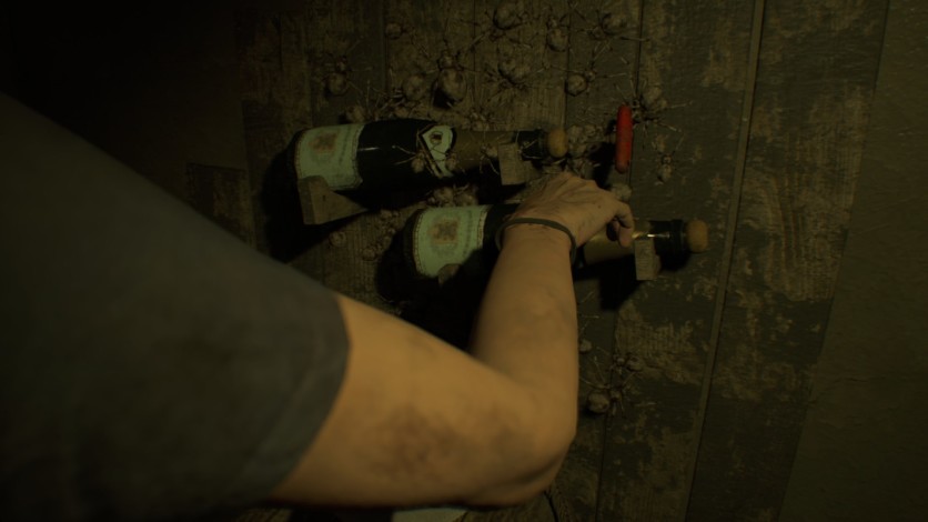 Screenshot 7 - Resident Evil 7  - Banned Footage Vol.1