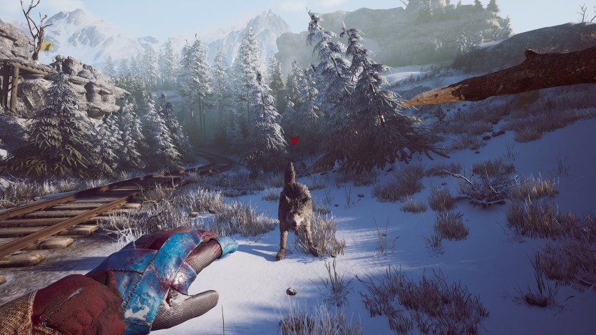 Captura de pantalla 18 - Winter Survival