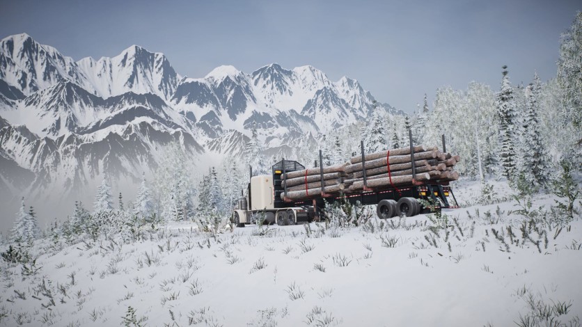 Captura de pantalla 3 - Alaskan Road Truckers