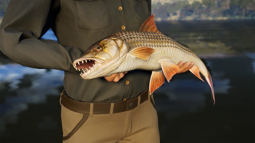 Captura de pantalla 5 - Call of the Wild: The Angler™ - South Africa Reserve