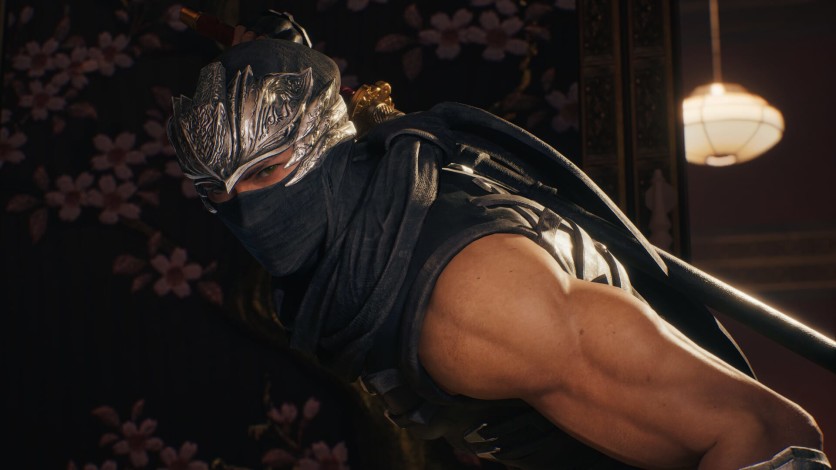 Screenshot 4 - NINJA GAIDEN 2 Black