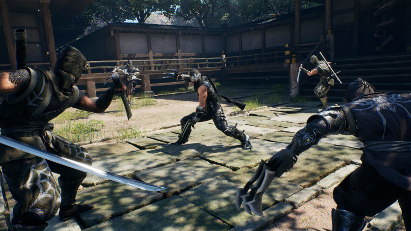 Screenshot 2 - NINJA GAIDEN 2 Black