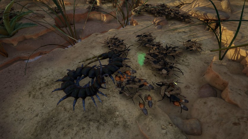 Screenshot 7 - Empires of the Undergrowth - Exploding Ants