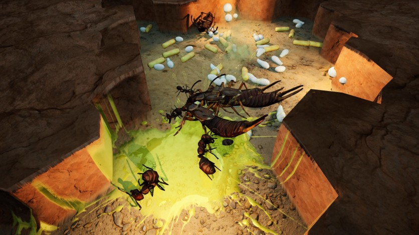 Screenshot 5 - Empires of the Undergrowth - Exploding Ants