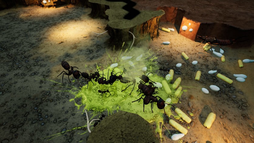 Screenshot 3 - Empires of the Undergrowth - Exploding Ants