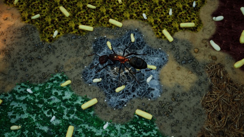 Screenshot 9 - Empires of the Undergrowth - Exploding Ants