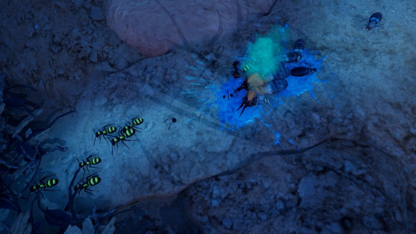 Screenshot 2 - Empires of the Undergrowth - Exploding Ants