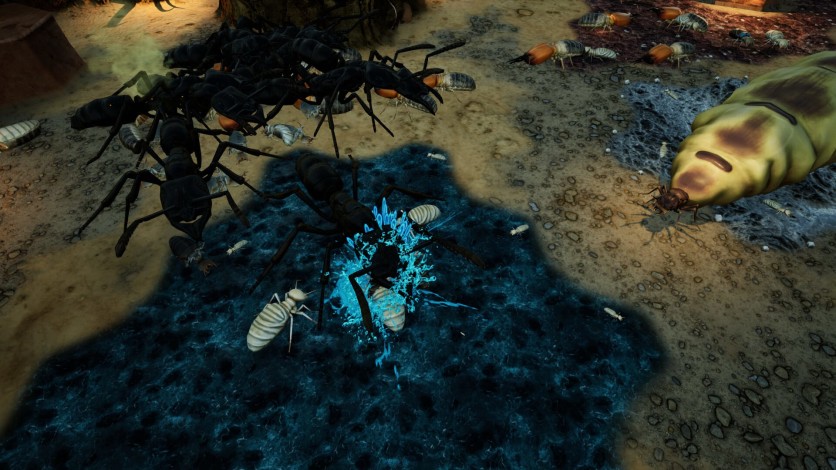 Screenshot 4 - Empires of the Undergrowth - Exploding Ants