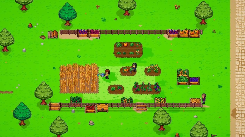 Screenshot 20 - To Pixelia
