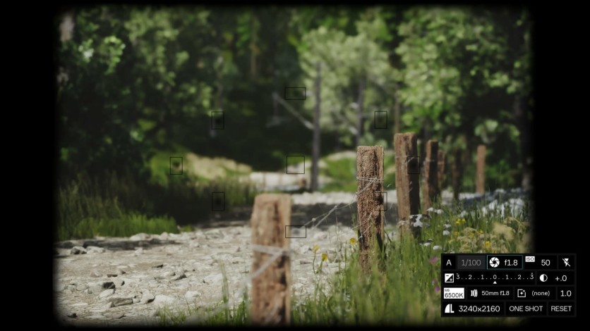 Screenshot 4 - Lushfoil Photography Sim