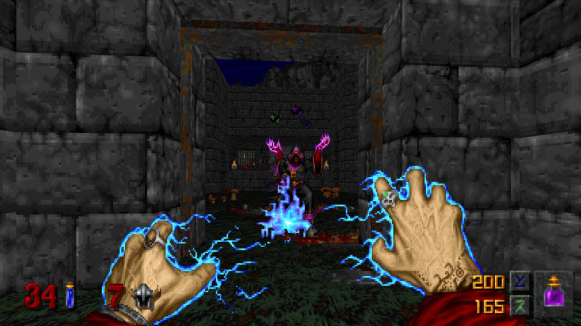 Screenshot 9 - Heretic + Hexen