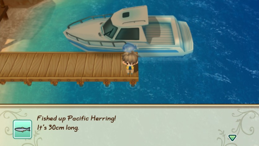 Captura de pantalla 5 - STORY OF SEASONS: Friends of Mineral Town