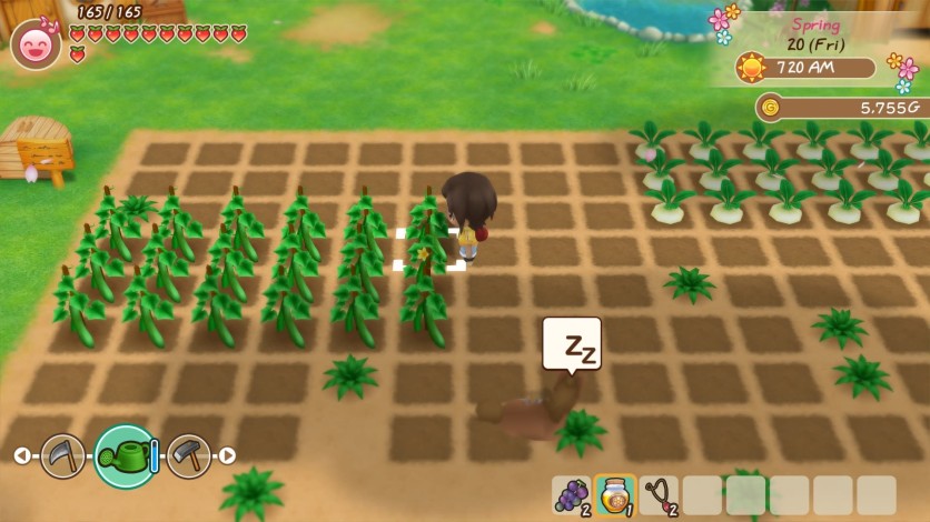 Screenshot 3 - STORY OF SEASONS: Friends of Mineral Town