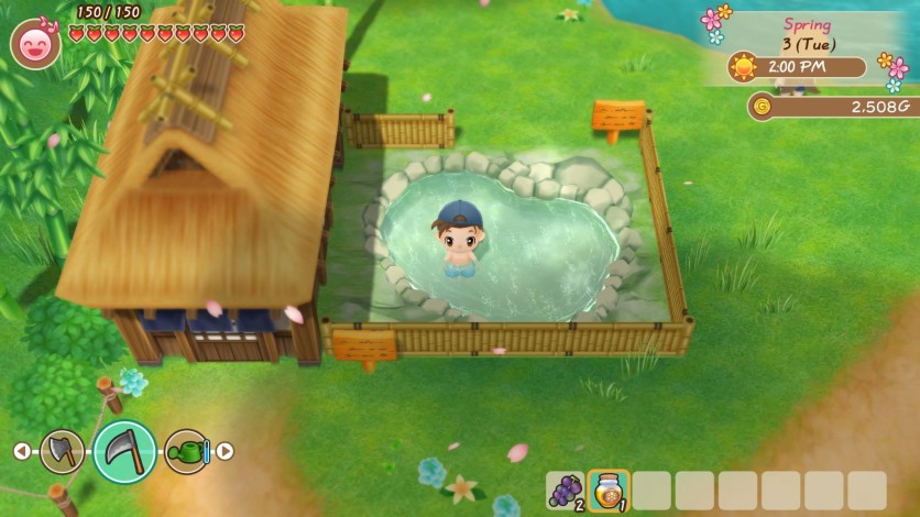 Screenshot 10 - STORY OF SEASONS: Friends of Mineral Town