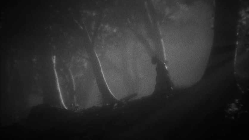 Screenshot 10 - Daemonologie