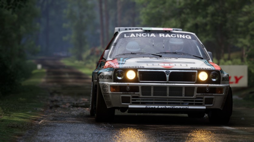 Captura de pantalla 9 - Assetto Corsa Rally