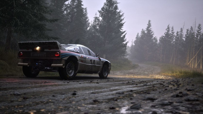 Captura de pantalla 25 - Assetto Corsa Rally
