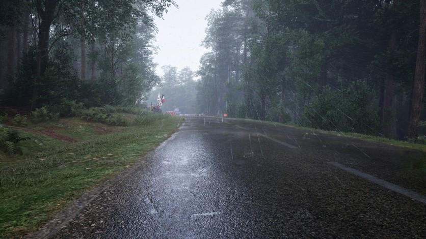 Captura de pantalla 23 - Assetto Corsa Rally