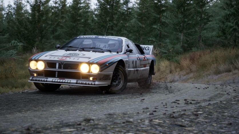 Captura de pantalla 17 - Assetto Corsa Rally