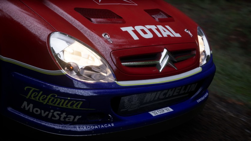 Captura de pantalla 41 - Assetto Corsa Rally